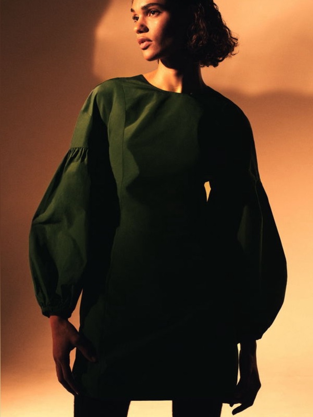 COS Volume Sleeve Waisted Dress in Green - US 12